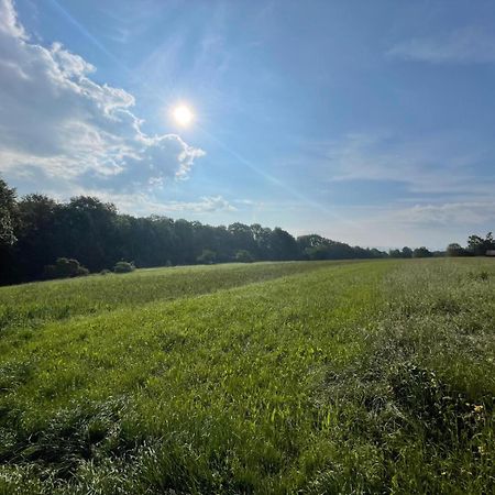 Tinyhaus #1 Huelben - Ortsrand - Kostenlose Parkplaetze Hulben Экстерьер фото