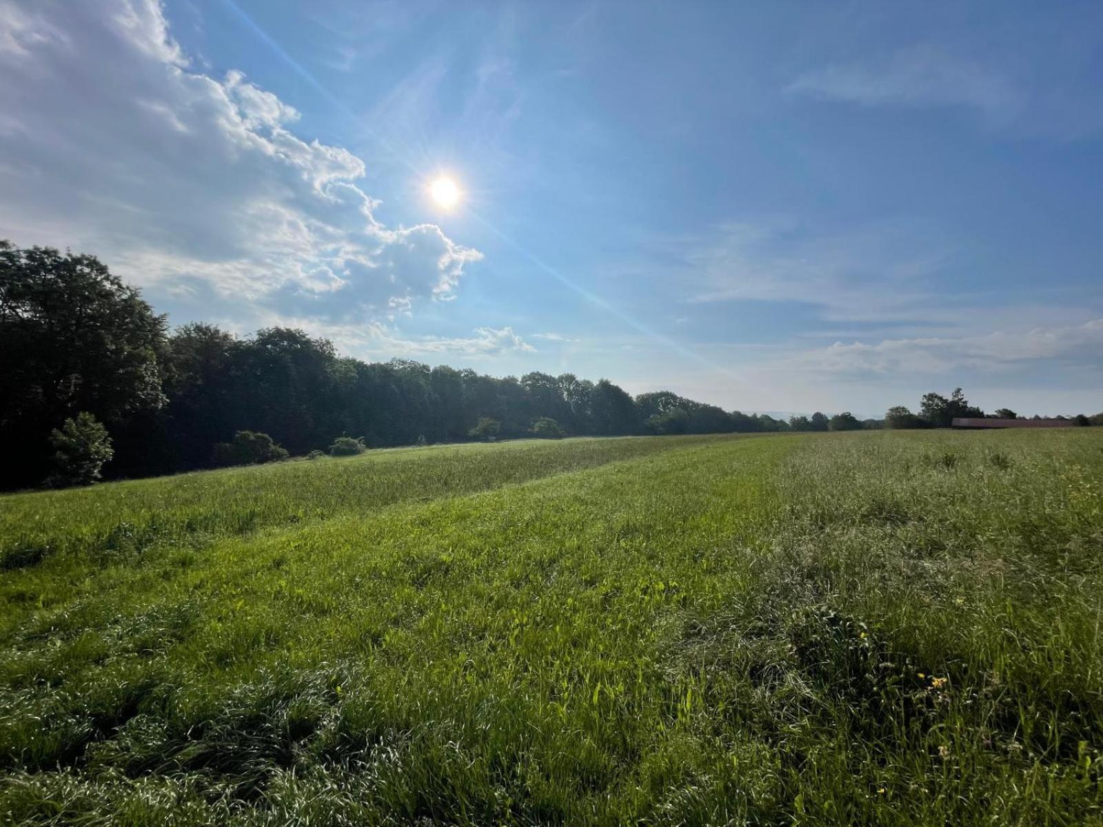 Tinyhaus #1 Huelben - Ortsrand - Kostenlose Parkplaetze Hulben Экстерьер фото